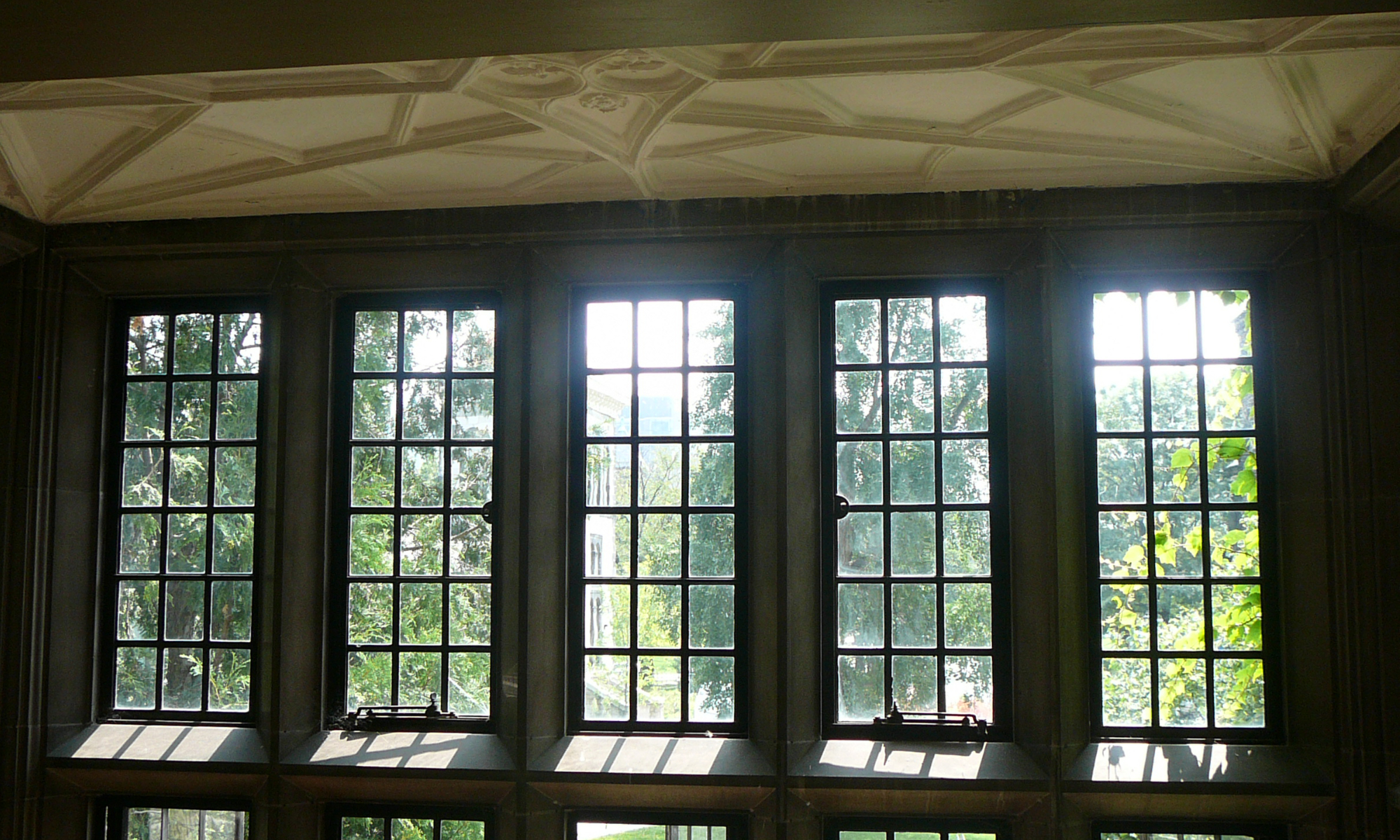 Example of historic windows at the University of Toronto. Source: TRACE