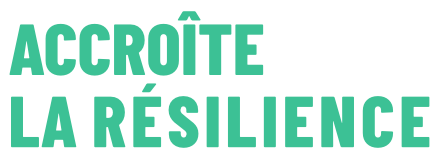 Building Resilience Logo